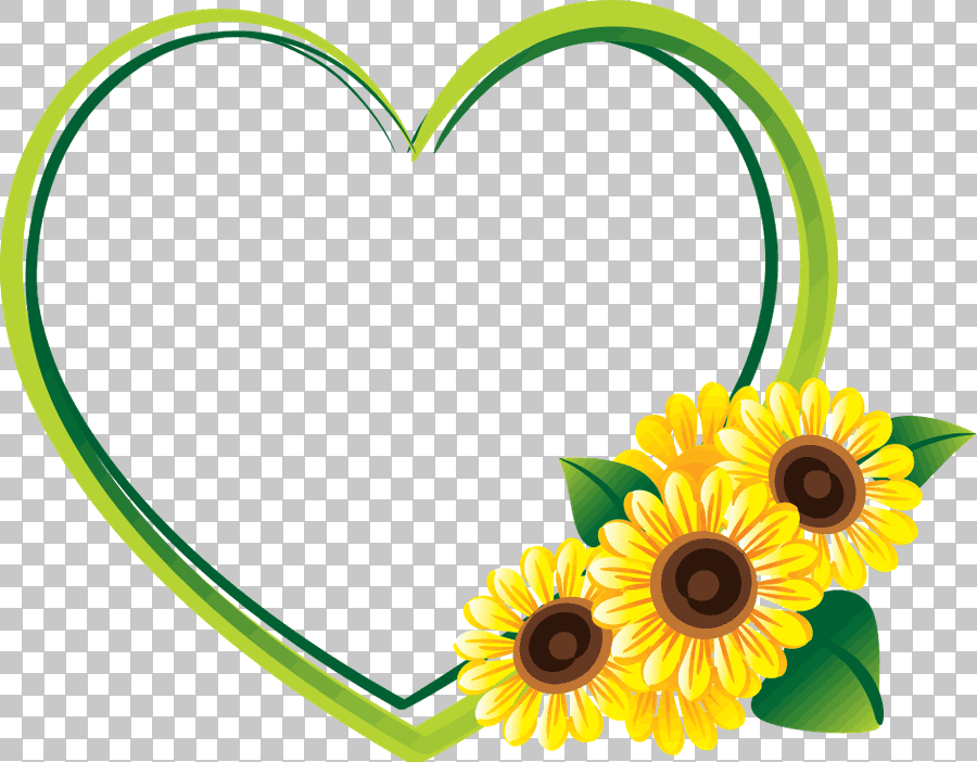 Common Sunflower Flower Border Heart