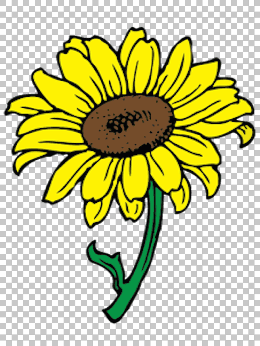 Cartoon Sunflower