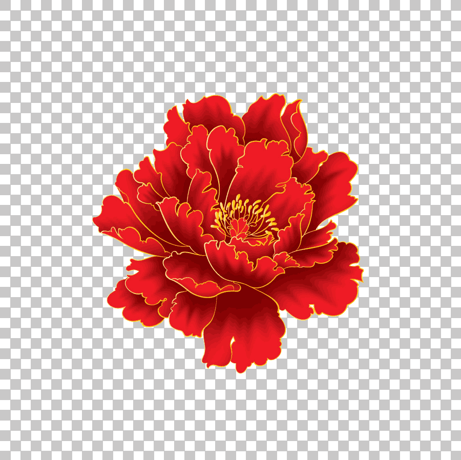 Red Moutan Peony Flower