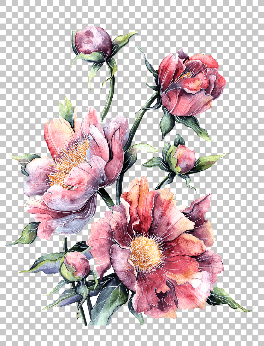 Pink Peony and Roses Watercolor