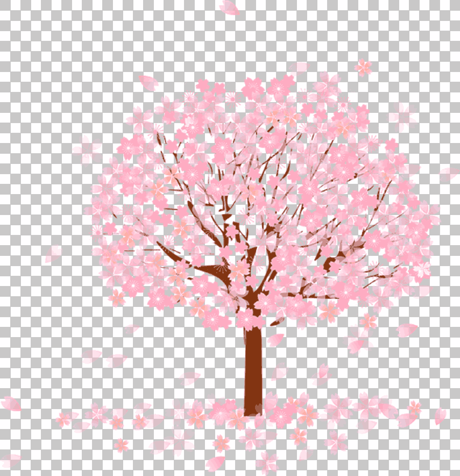 Pink Cherry Blossom Tree Branch