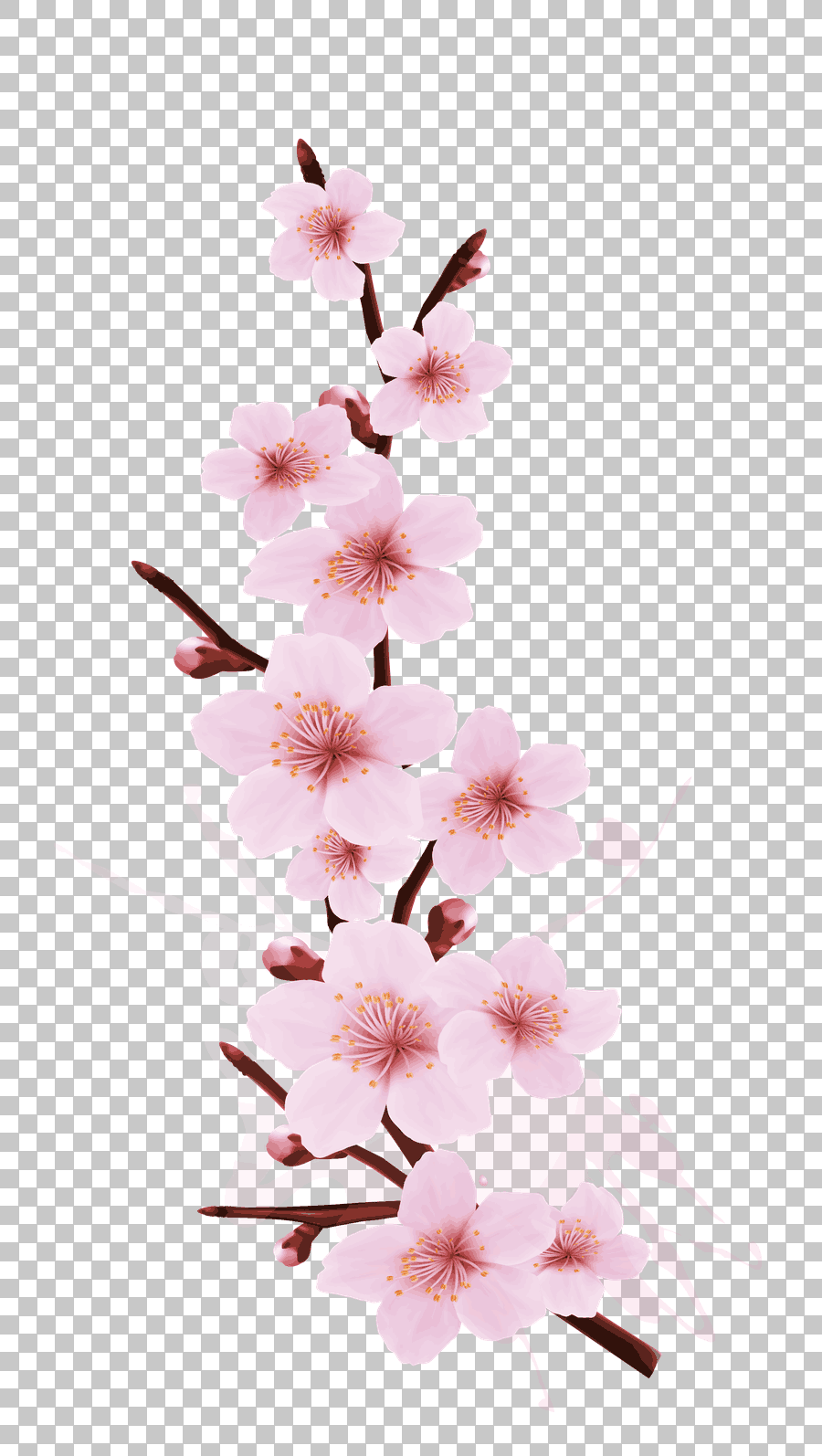 Cherry Blossom Branch Tree