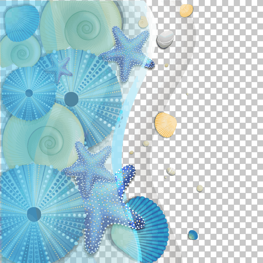 Blue and White Shells and Starfish