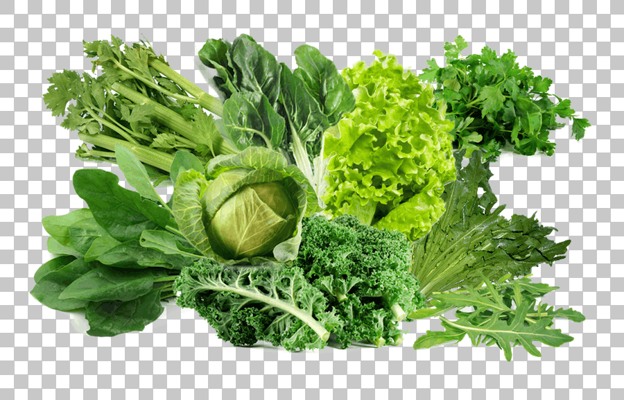 Parsley Lettuce Vegetable