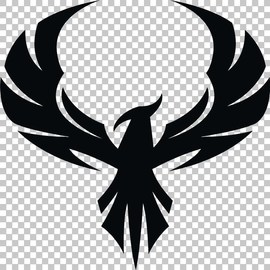 Black Phoenix Bird Illustration