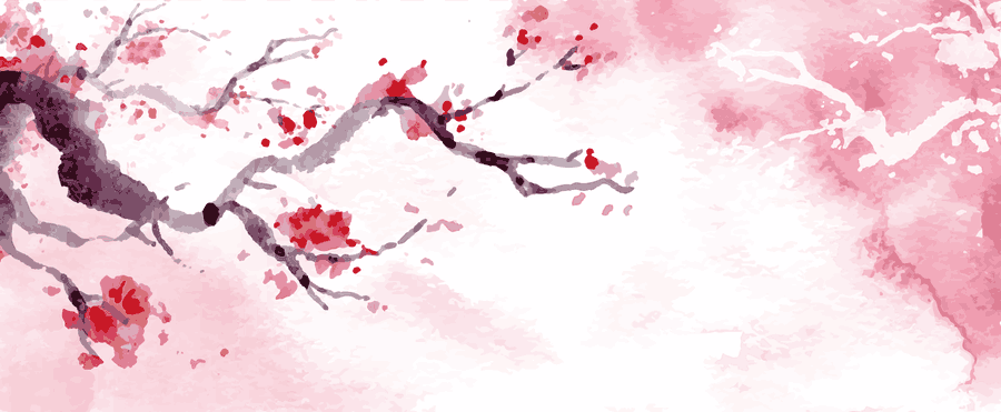 Pink Cherry Blossoms Branch