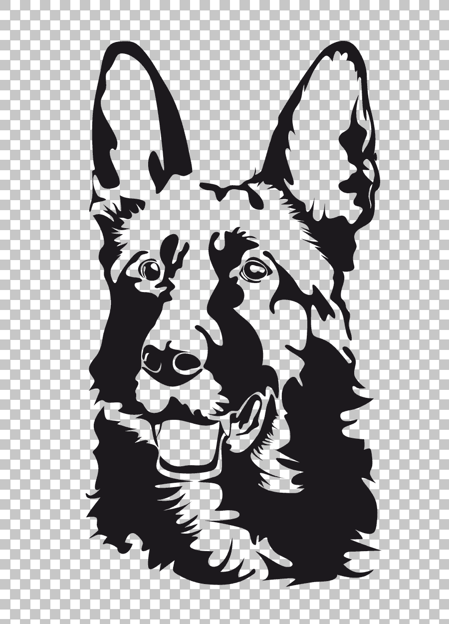 Black and White German Shepherd