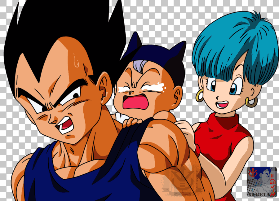 Trunks Vegeta Bulma Android 18 Bulla