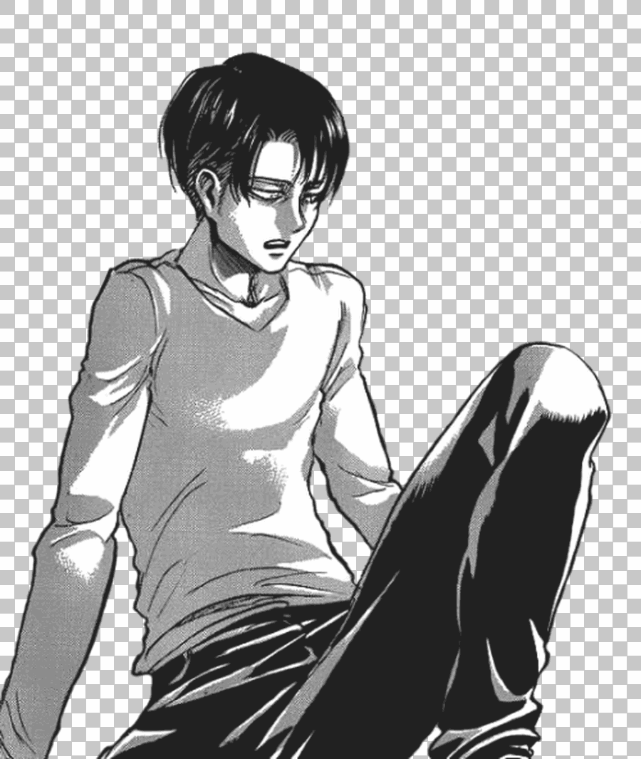 Levi Ackerman Black Hair