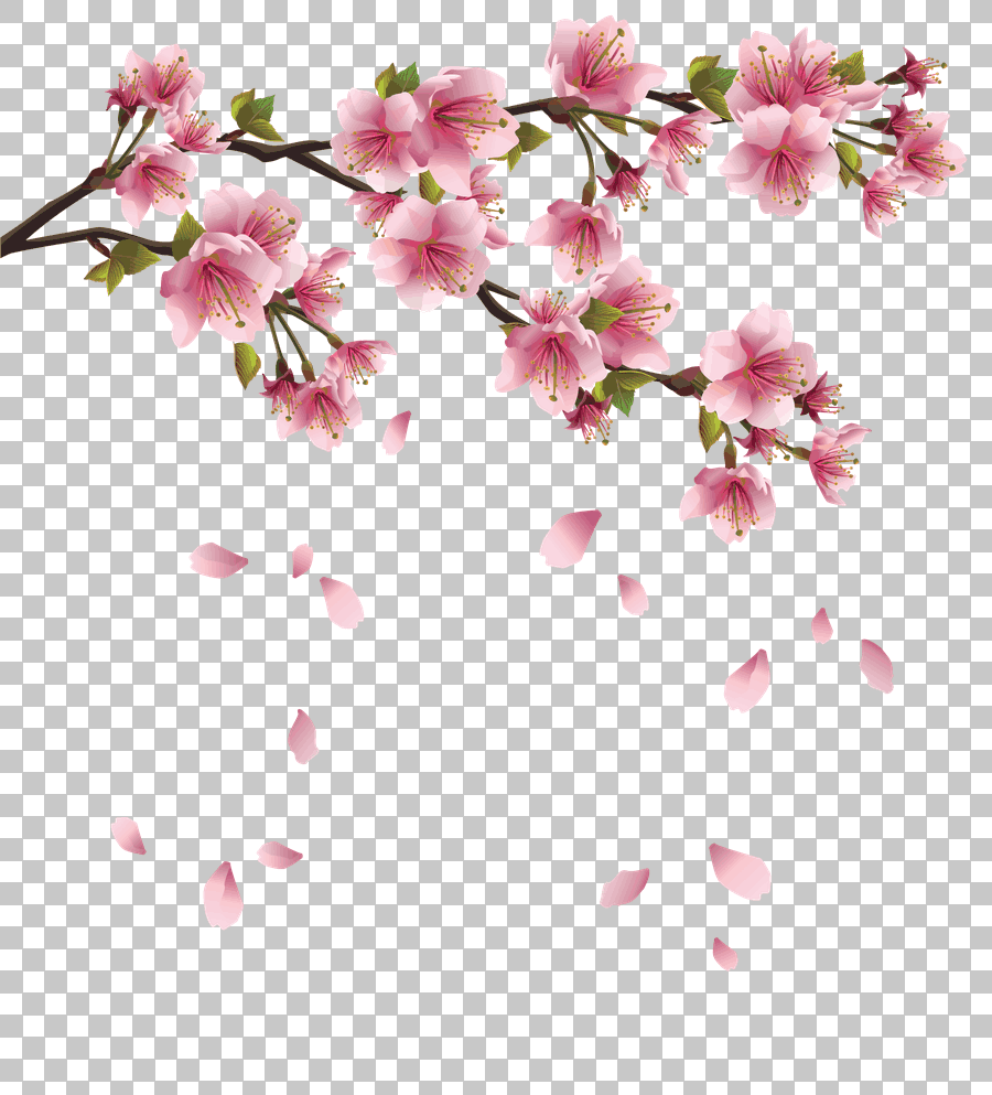 Pink Cherry Blossom Branch