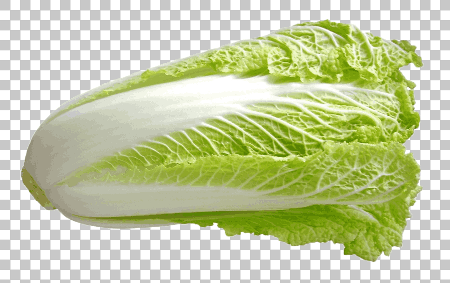 Savoy Cabbage and Romaine Lettuce