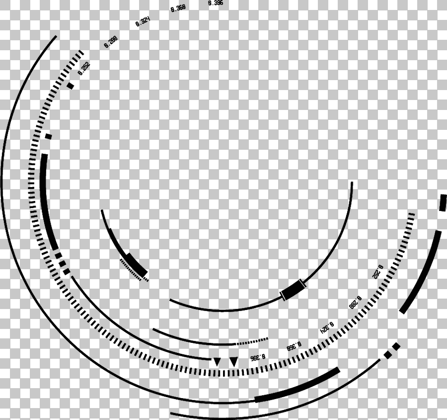 Geometric Circle Swirl Ink Lines