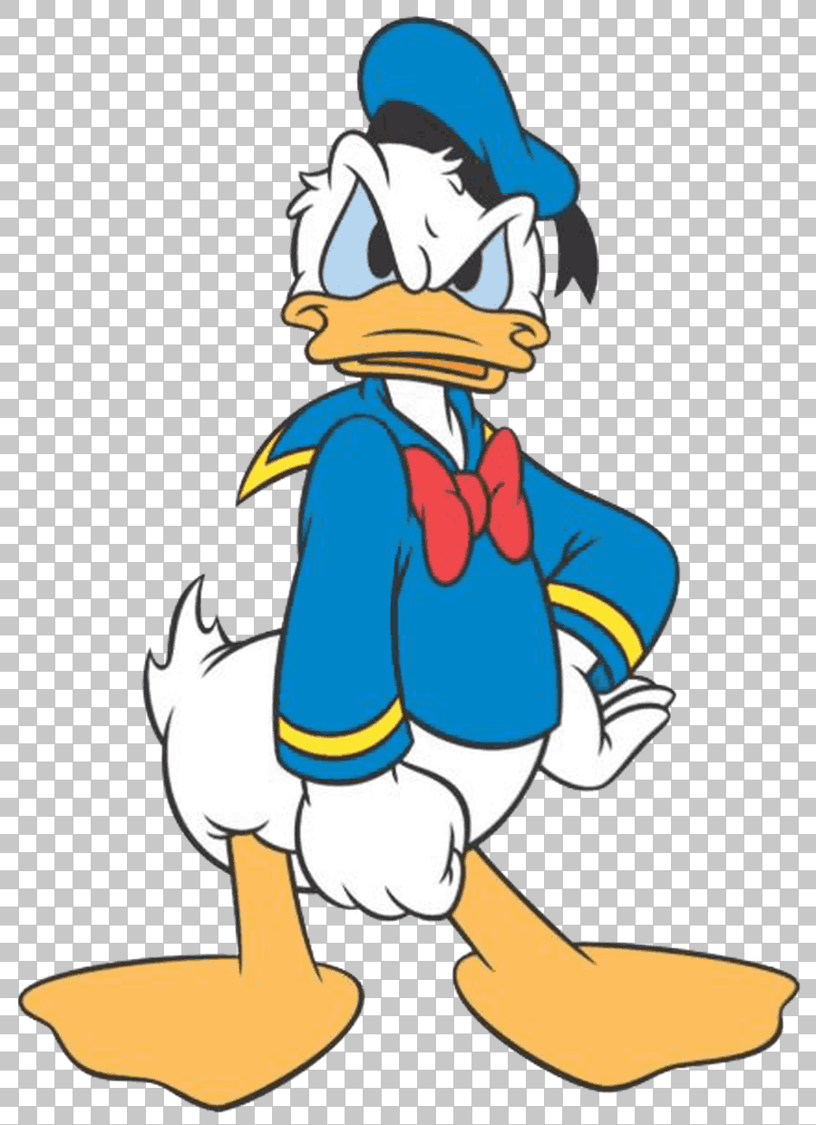 Angry Cartoon Duck Characters