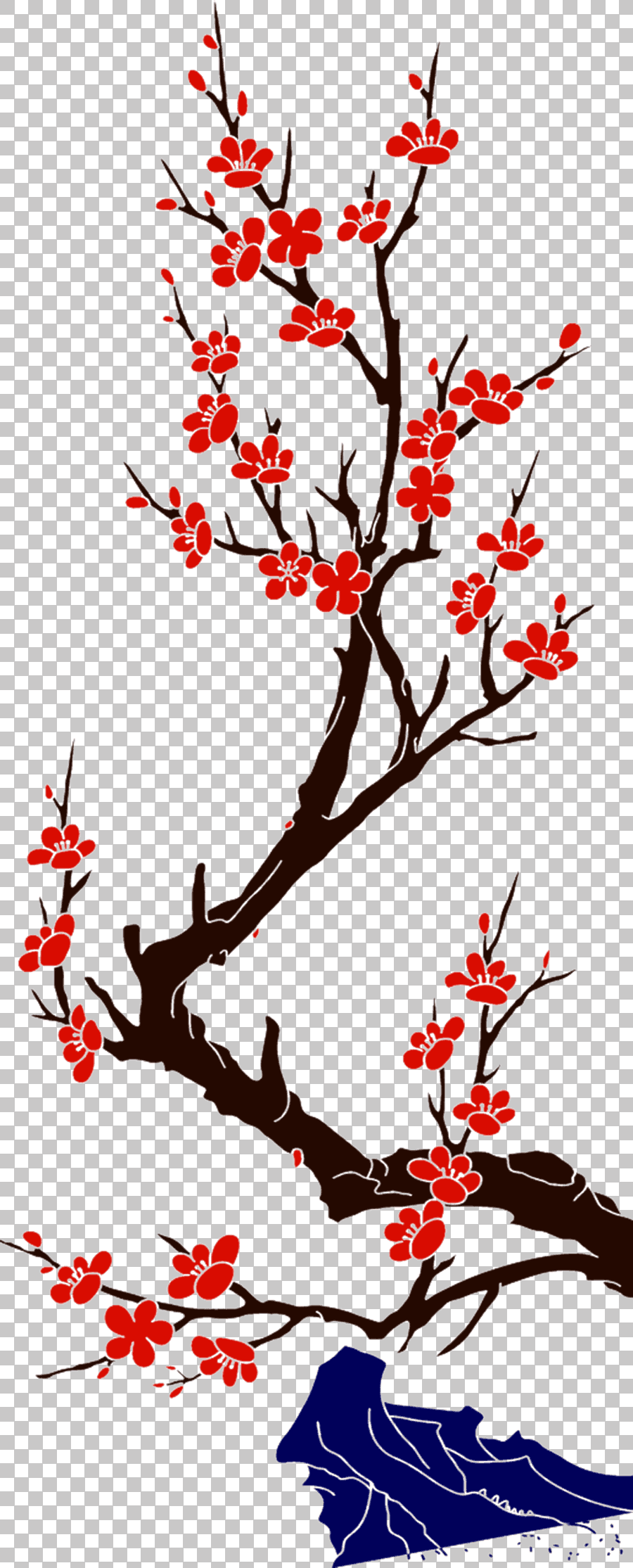 Cherry Blossom Illustration