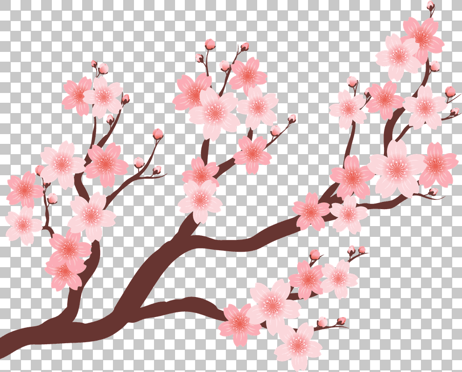 Cherry Blossom Tree Branch