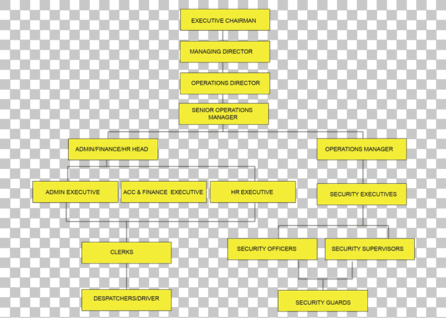 DHL Express Organizational Chart