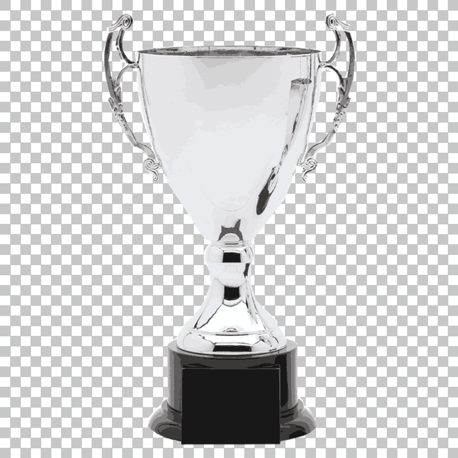 Silver Trophy Loving Cup Award