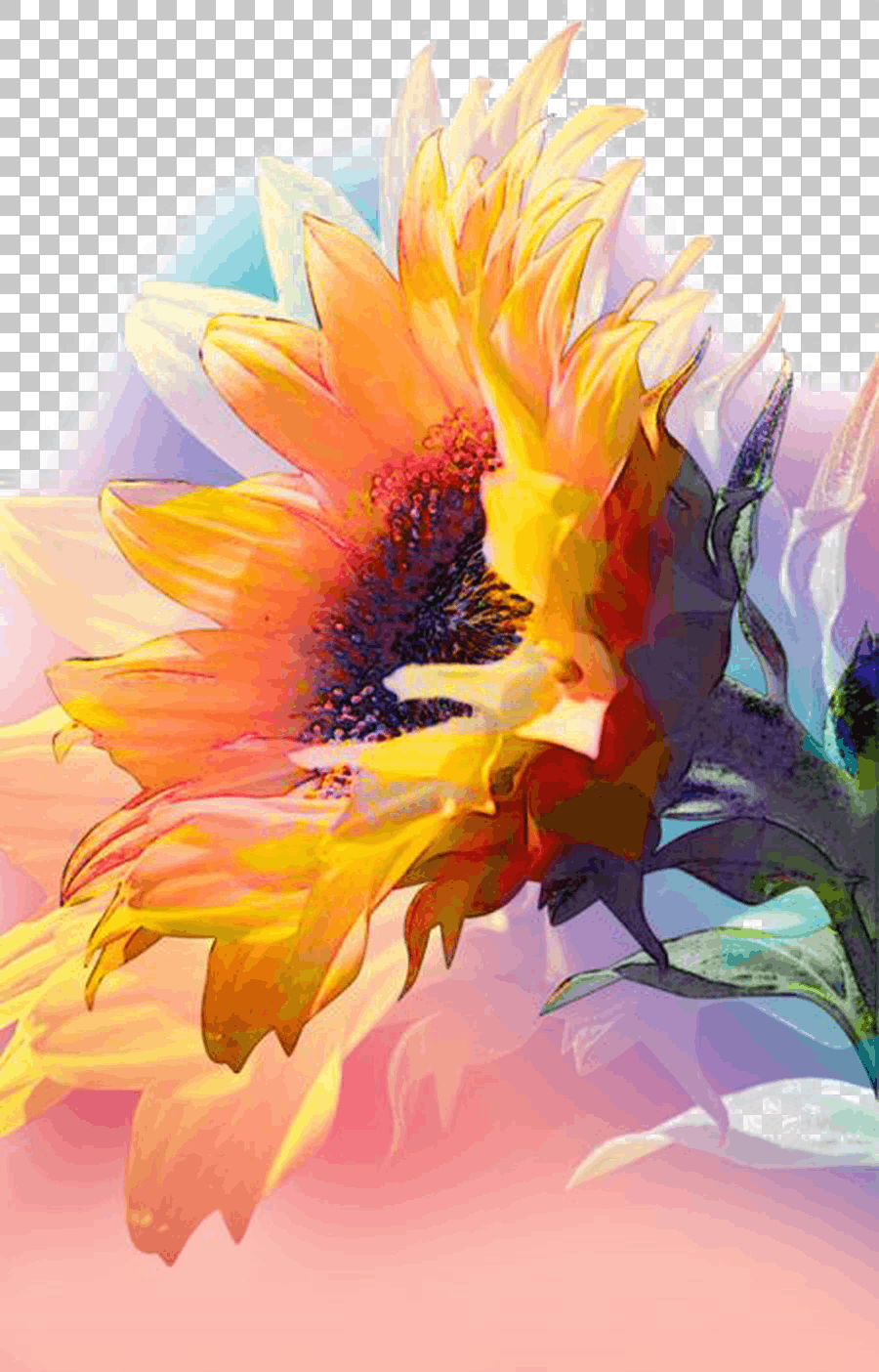 Yellow Sunflower Watercolor