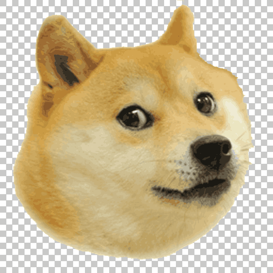 Shiba Inu Dog Face