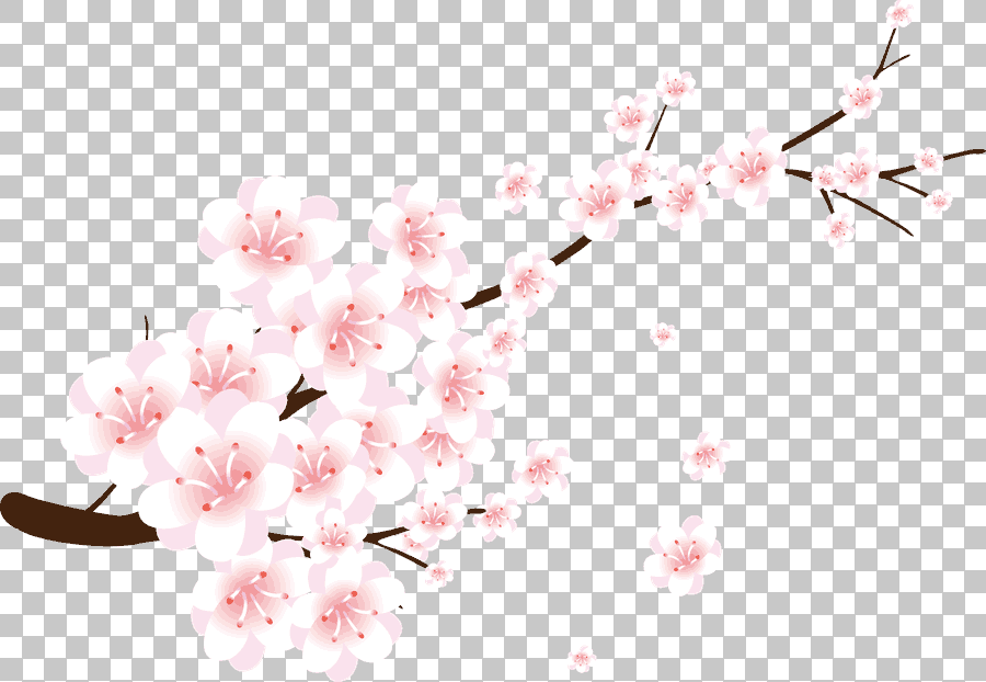 Peach Blossom Branch Twig