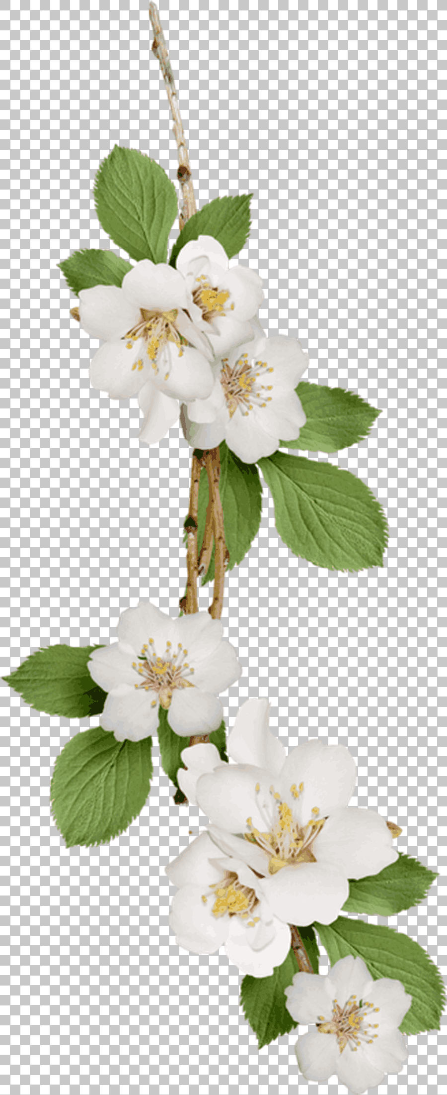 White Flowers Arrangement