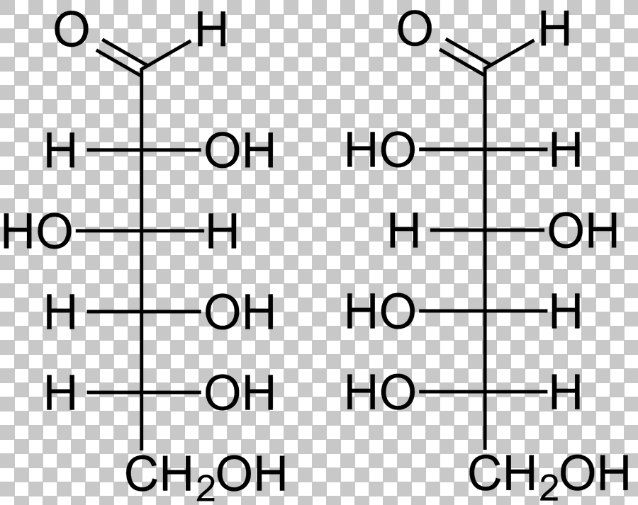 L-Glucose Fructose Galactose Glucose