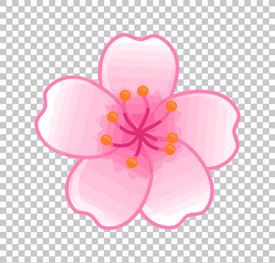 Cherry Blossom Flower