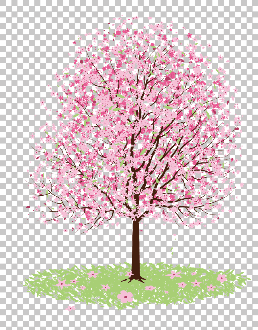 Pink Cherry Blossom Tree Branch