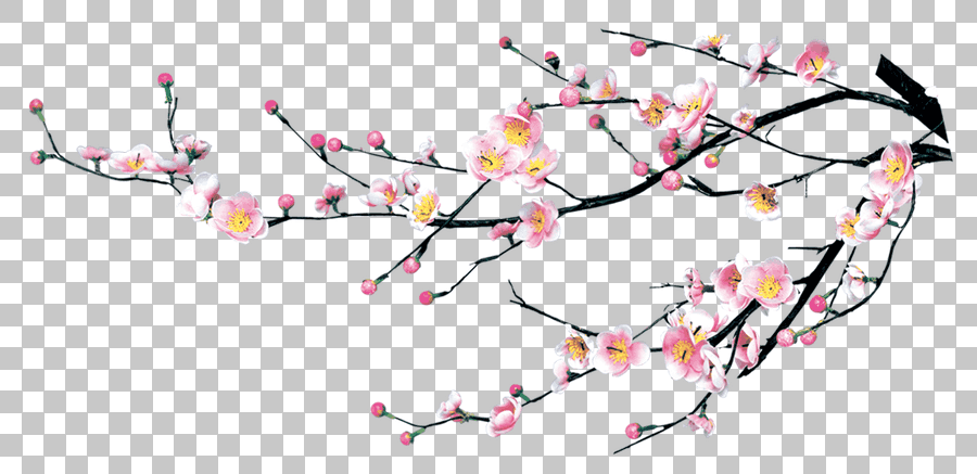 Cherry Blossom Plum Blossom Branch