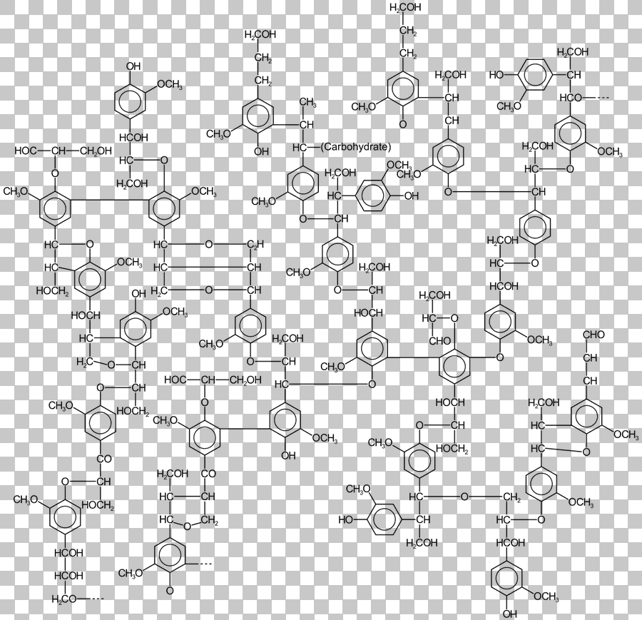 Lignin Cell Wall Polymer Chemical Structure