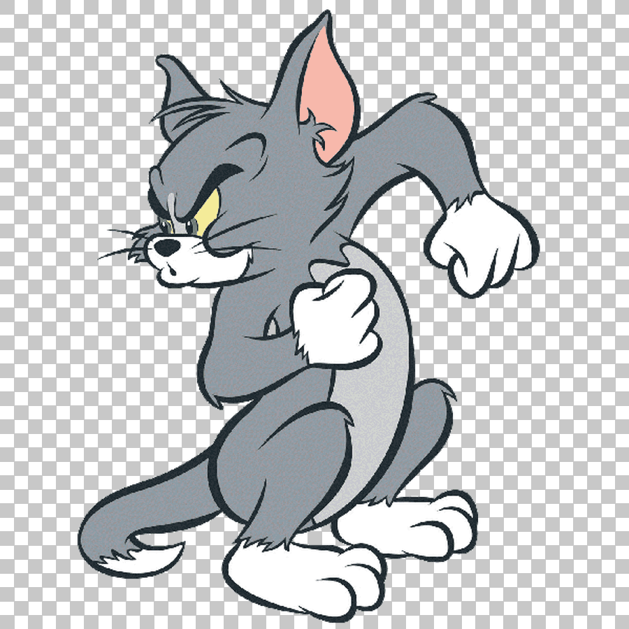 Tom Cat and Jerry Mouse Drawing