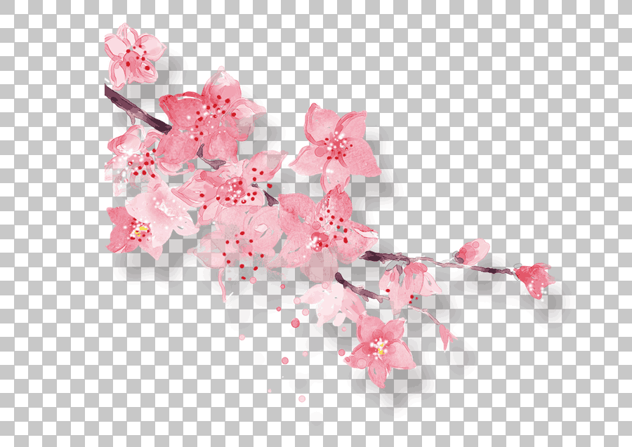 Pink Peach Blossom Flower