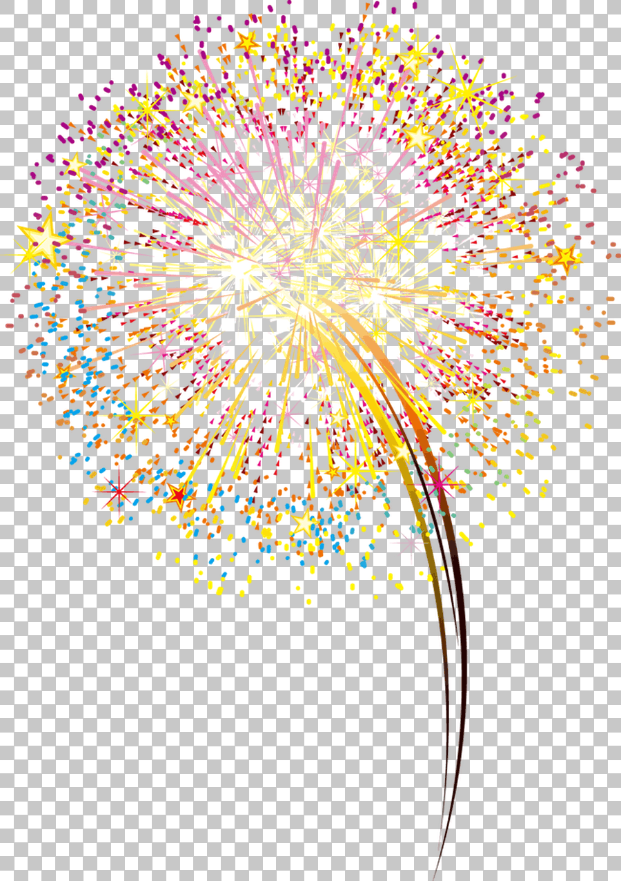 Firework Illustration